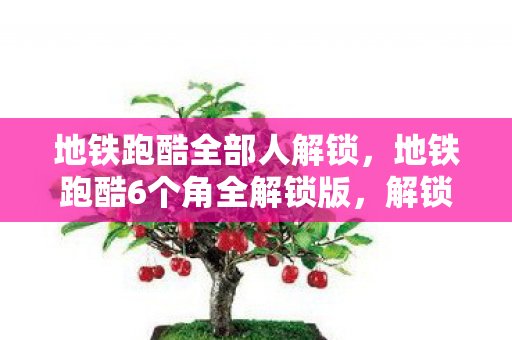 地铁跑酷全部人解锁,地铁跑酷6个角全解锁版,解锁无限可能,畅享游戏乐趣 地铁跑酷全部人解锁,地铁跑酷6个角全解锁版,解锁无限可能,畅享游戏乐趣