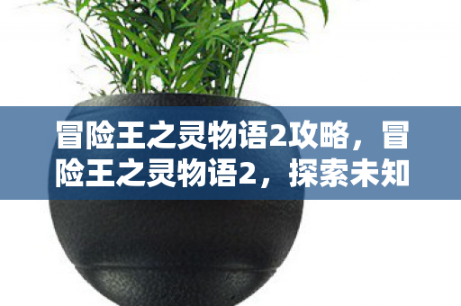 冒险王之灵物语2攻略,冒险王之灵物语2,探索未知世界的奇幻之旅 冒险王之灵物语2攻略,冒险王之灵物语2,探索未知世界的奇幻之旅