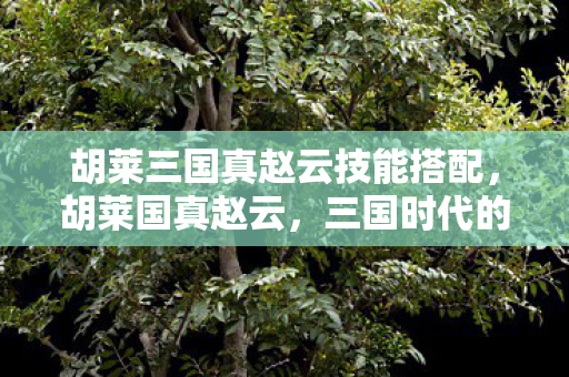 胡莱三国真赵云技能搭配,胡莱国真赵云,三国时代的传奇武将 胡莱三国真赵云技能搭配,胡莱国真赵云,三国时代的传奇武将
