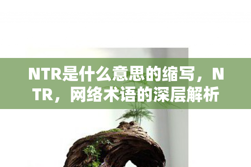 NTR是什么意思的缩写,NTR,网络术语的深层解析 NTR是什么意思的缩写,NTR,网络术语的深层解析