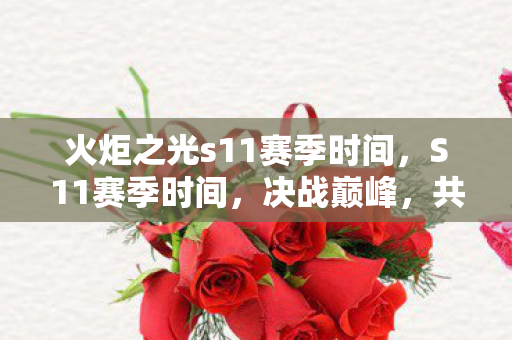 火炬之光s11赛季时间,S11赛季时间,决战巅峰,共赴荣耀 火炬之光s11赛季时间,S11赛季时间,决战巅峰,共赴荣耀