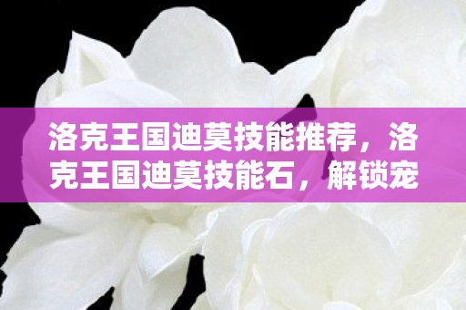 洛克王国迪莫技能推荐，洛克王国迪莫技能石，解锁宠物无限可能的神秘钥匙