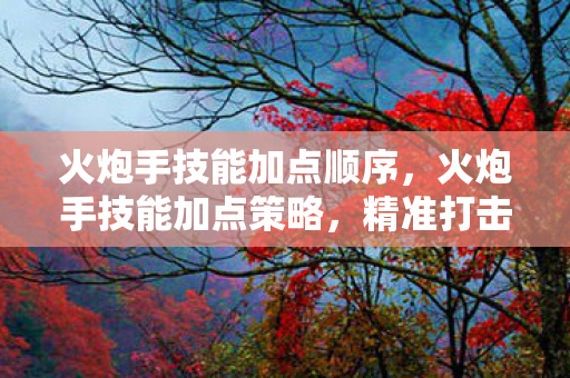 火炮手技能加点顺序,火炮手技能加点策略,精准打击,高效输出 火炮手技能加点顺序,火炮手技能加点策略,精准打击,高效输出
