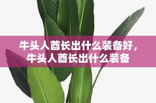 牛头人酋长出什么装备好,牛头人酋长出什么装备 牛头人酋长出什么装备好,牛头人酋长出什么装备
