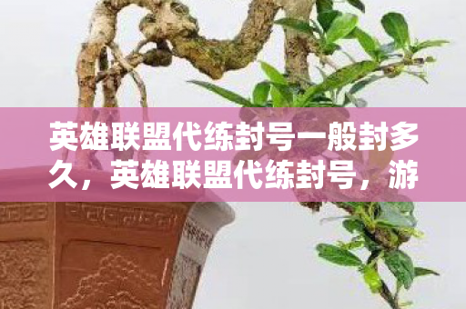 英雄联盟代练封号一般封多久,英雄联盟代练封号,游戏公平性的守护者 英雄联盟代练封号一般封多久,英雄联盟代练封号,游戏公平性的守护者