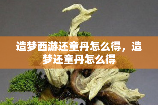 造梦西游还童丹怎么得,造梦还童丹怎么得 造梦西游还童丹怎么得,造梦还童丹怎么得