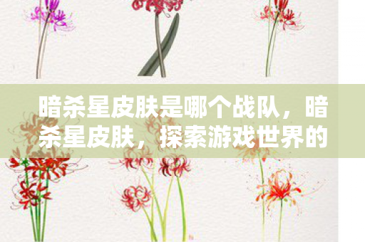暗杀星皮肤是哪个战队，暗杀星皮肤，探索游戏世界的独特魅力