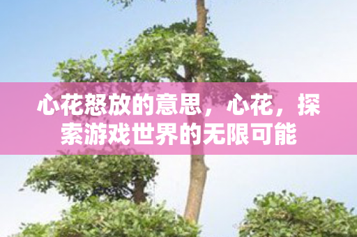 心花怒放的意思,心花,探索游戏世界的无限可能 心花怒放的意思,心花,探索游戏世界的无限可能