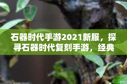 石器时代手游2021新服,探寻石器时代复刻手游,经典与创新的完美融合 石器时代手游2021新服,探寻石器时代复刻手游,经典与创新的完美融合