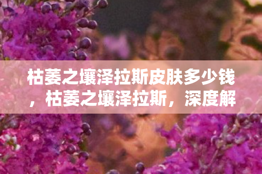 枯萎之壤泽拉斯皮肤多少钱，枯萎之壤泽拉斯，深度解析英雄背景与游戏策略