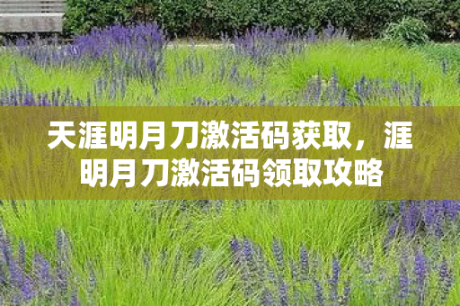 天涯明月刀激活码获取,涯明月刀激活码领取攻略 天涯明月刀激活码获取,涯明月刀激活码领取攻略