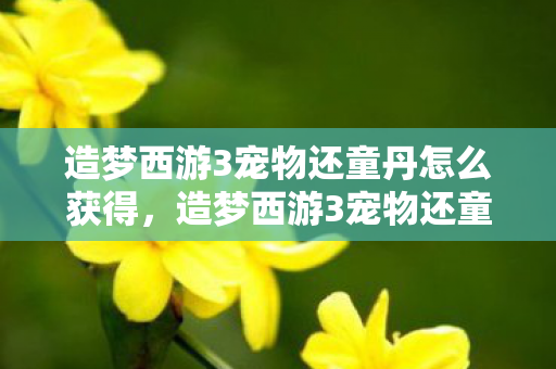 造梦西游3宠物还童丹怎么获得,造梦西游3宠物还童丹,解锁宠物新生命的神秘钥匙 造梦西游3宠物还童丹怎么获得,造梦西游3宠物还童丹,解锁宠物新生命的神秘钥匙