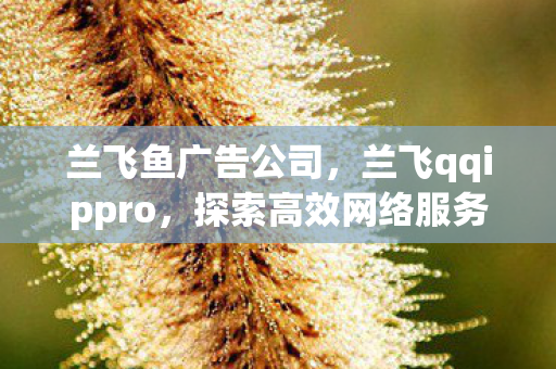 兰飞鱼广告公司,兰飞qqippro,探索高效网络服务的创新实践 兰飞鱼广告公司,兰飞qqippro,探索高效网络服务的创新实践