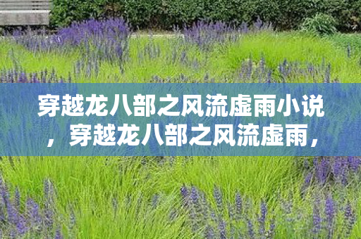 穿越龙八部之风流虚雨小说，穿越龙八部之风流虚雨，探寻虚拟世界的无限可能