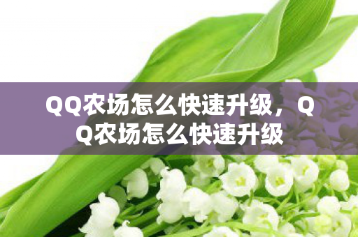 QQ农场怎么快速升级，QQ农场怎么快速升级