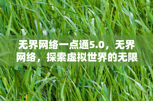 无界网络一点通5.0，无界网络，探索虚拟世界的无限可能