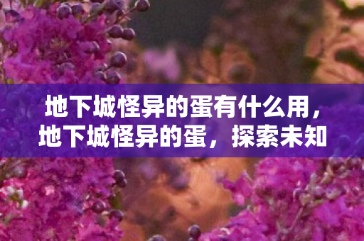 地下城怪异的蛋有什么用，地下城怪异的蛋，探索未知世界的奇幻之旅