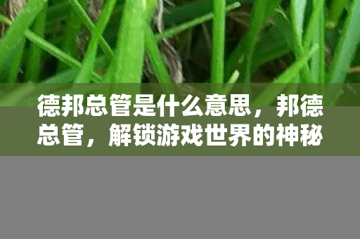 德邦总管是什么意思,邦德总管,解锁游戏世界的神秘钥匙 德邦总管是什么意思,邦德总管,解锁游戏世界的神秘钥匙