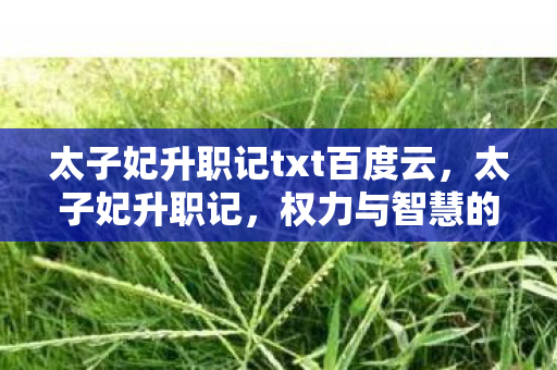 太子妃升职记txt百度云,太子妃升职记,权力与智慧的博弈 太子妃升职记txt百度云,太子妃升职记,权力与智慧的博弈