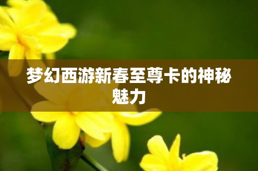梦幻西游新春至尊卡的神秘魅力 梦幻西游新春至尊卡的神秘魅力