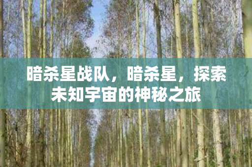 暗杀星战队,暗杀星,探索未知宇宙的神秘之旅 暗杀星战队,暗杀星,探索未知宇宙的神秘之旅