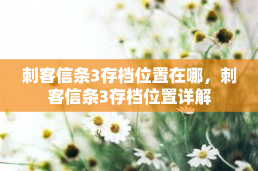 刺客信条3存档位置在哪,刺客信条3存档位置详解 刺客信条3存档位置在哪,刺客信条3存档位置详解