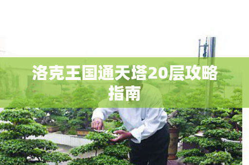 洛克王国通天塔20层攻略指南 洛克王国通天塔20层攻略指南