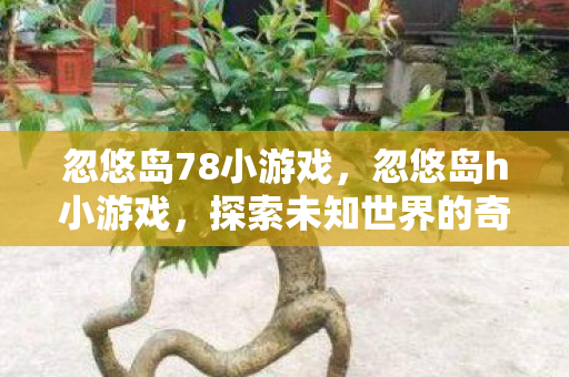 忽悠岛78小游戏，忽悠岛h小游戏，探索未知世界的奇妙之旅