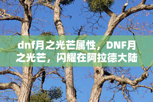 dnf月之光芒属性,DNF月之光芒,闪耀在阿拉德大陆的神秘光芒 dnf月之光芒属性,DNF月之光芒,闪耀在阿拉德大陆的神秘光芒