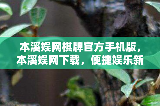 本溪娱网棋牌官方手机版,本溪娱网下载,便捷娱乐新选择 本溪娱网棋牌官方手机版,本溪娱网下载,便捷娱乐新选择