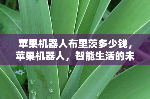 苹果机器人布里茨多少钱,苹果机器人,智能生活的未来趋势 苹果机器人布里茨多少钱,苹果机器人,智能生活的未来趋势