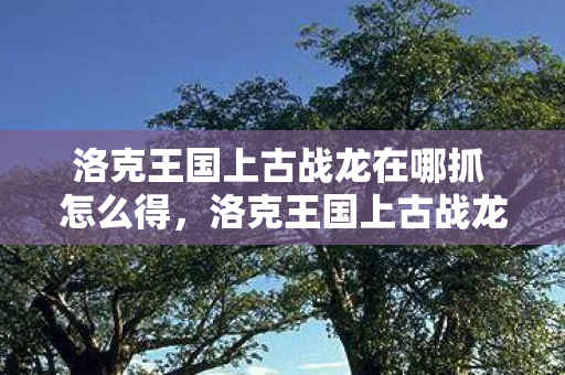 洛克王国上古战龙在哪抓 怎么得,洛克王国上古战龙在哪抓 洛克王国上古战龙在哪抓 怎么得,洛克王国上古战龙在哪抓