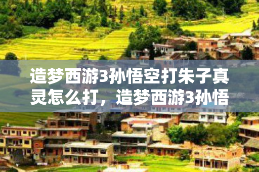 造梦西游3孙悟空打朱子真灵怎么打,造梦西游3孙悟空打朱子真,一场跨越时空的冒险 造梦西游3孙悟空打朱子真灵怎么打,造梦西游3孙悟空打朱子真,一场跨越时空的冒险