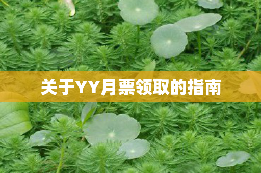关于YY月票领取的指南 关于YY月票领取的指南