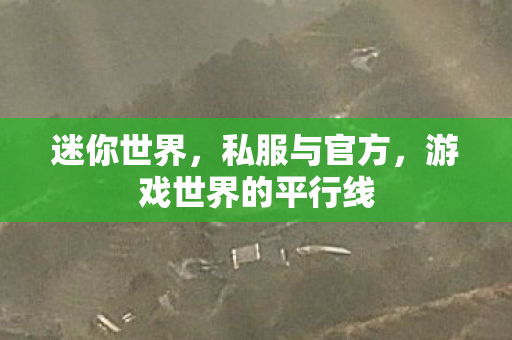 迷你世界,私服与官方,游戏世界的平行线 迷你世界,私服与官方,游戏世界的平行线