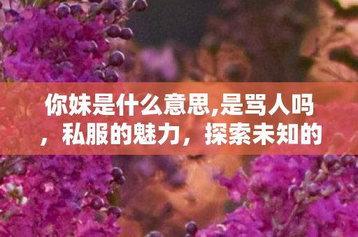 你妹是什么意思,是骂人吗,私服的魅力,探索未知的游戏世界 你妹是什么意思,是骂人吗,私服的魅力,探索未知的游戏世界