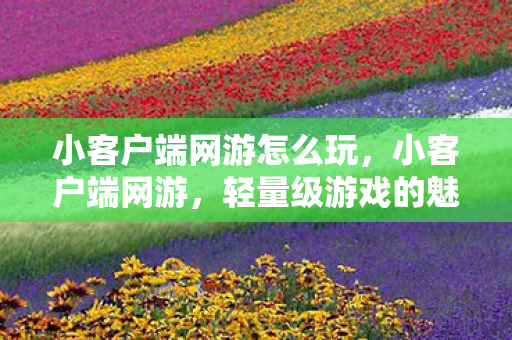 小客户端网游怎么玩,小客户端网游,轻量级游戏的魅力与未来展望 小客户端网游怎么玩,小客户端网游,轻量级游戏的魅力与未来展望