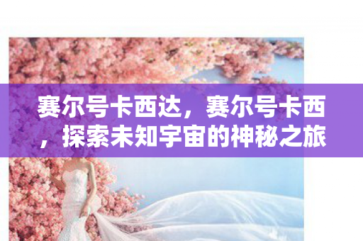 赛尔号卡西达,赛尔号卡西,探索未知宇宙的神秘之旅 赛尔号卡西达,赛尔号卡西,探索未知宇宙的神秘之旅