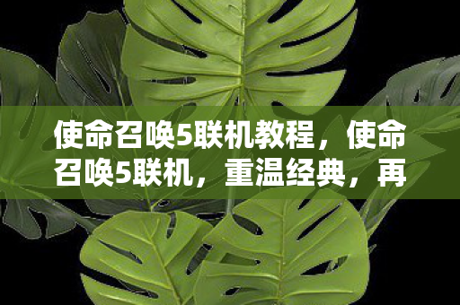 使命召唤5联机教程,使命召唤5联机,重温经典,再战战场 使命召唤5联机教程,使命召唤5联机,重温经典,再战战场