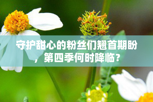 守护甜心的粉丝们翘首期盼,第四季何时降临? 守护甜心的粉丝们翘首期盼,第四季何时降临?