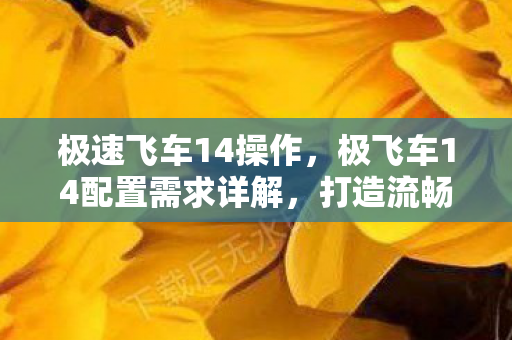 极速飞车14操作,极飞车14配置需求详解,打造流畅游戏体验 极速飞车14操作,极飞车14配置需求详解,打造流畅游戏体验
