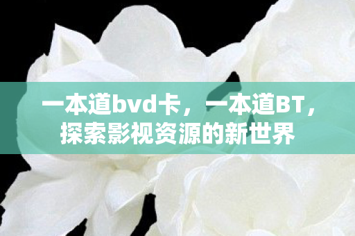 一本道bvd卡,一本道BT,探索影视资源的新世界 一本道bvd卡,一本道BT,探索影视资源的新世界
