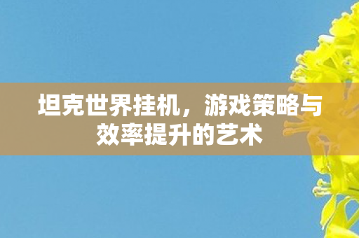 坦克世界挂机,游戏策略与效率提升的艺术 坦克世界挂机,游戏策略与效率提升的艺术