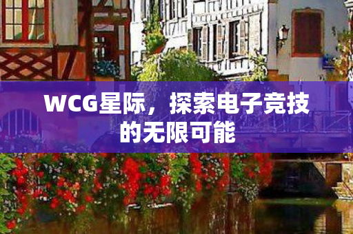 WCG星际,探索电子竞技的无限可能 WCG星际,探索电子竞技的无限可能