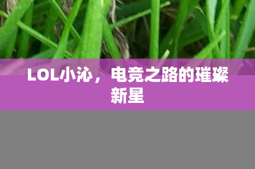 LOL小沁,电竞之路的璀璨新星 LOL小沁,电竞之路的璀璨新星