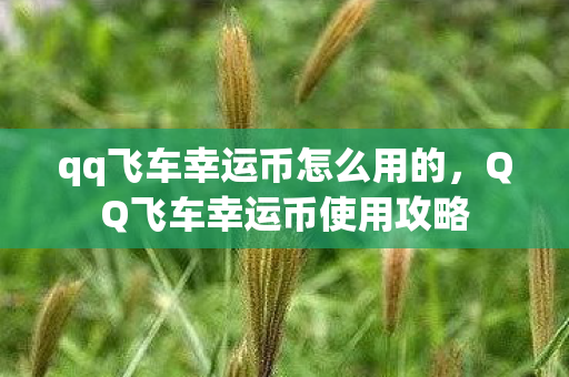 qq飞车幸运币怎么用的,QQ飞车幸运币使用攻略 qq飞车幸运币怎么用的,QQ飞车幸运币使用攻略