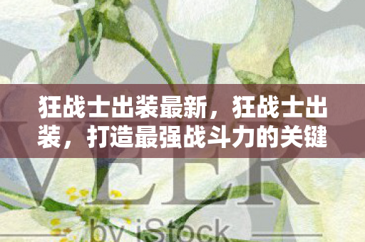狂战士出装最新,狂战士出装,打造最强战斗力的关键 狂战士出装最新,狂战士出装,打造最强战斗力的关键