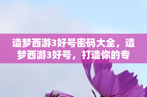 造梦西游3好号密码大全，造梦西游3好号，打造你的专属西游之旅