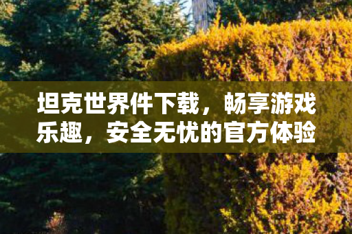 坦克世界件下载，畅享游戏乐趣，安全无忧的官方体验