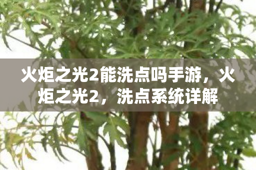 火炬之光2能洗点吗手游,火炬之光2,洗点系统详解 火炬之光2能洗点吗手游,火炬之光2,洗点系统详解